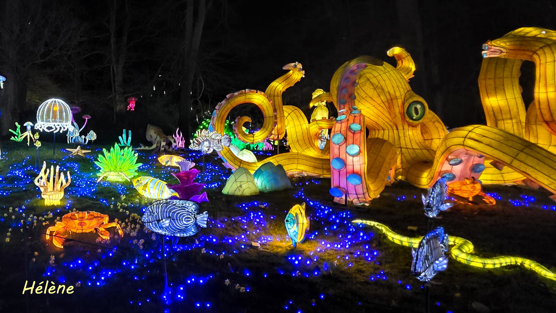 THOIRY -Illumination ,  Lumières sauvages 2025-2026